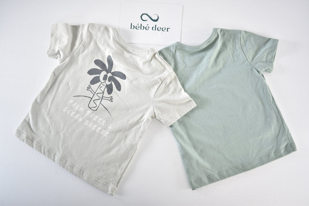 Summer dinosaur tops set