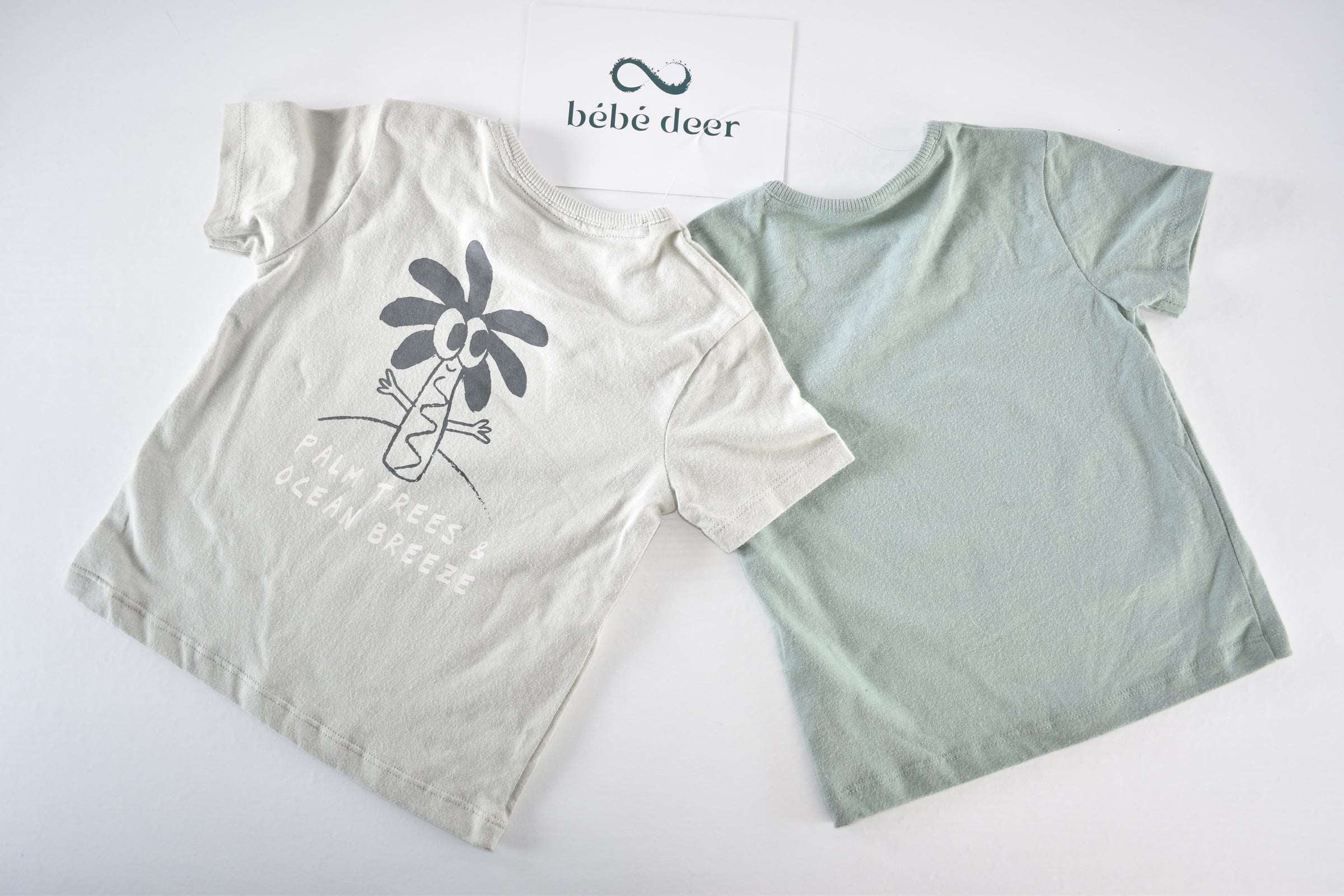 Summer dinosaur tops set