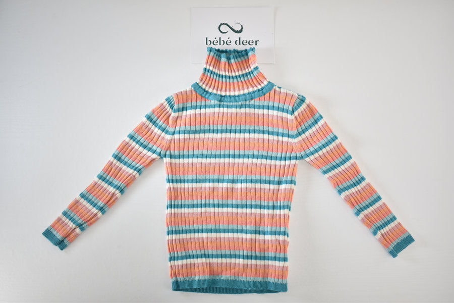 Striped roll neck jumper