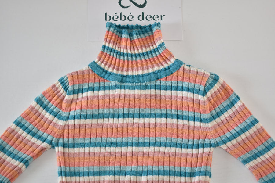 Striped roll neck jumper