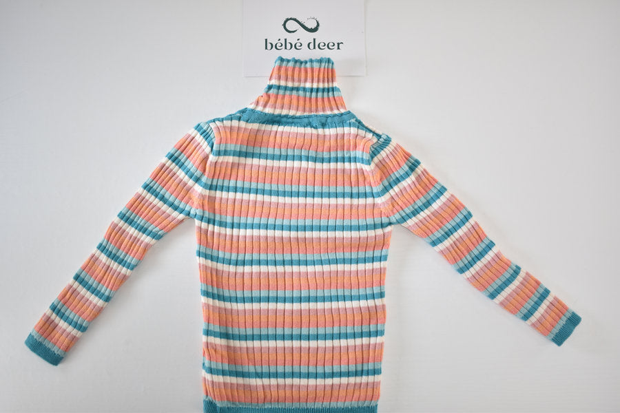 Striped roll neck jumper