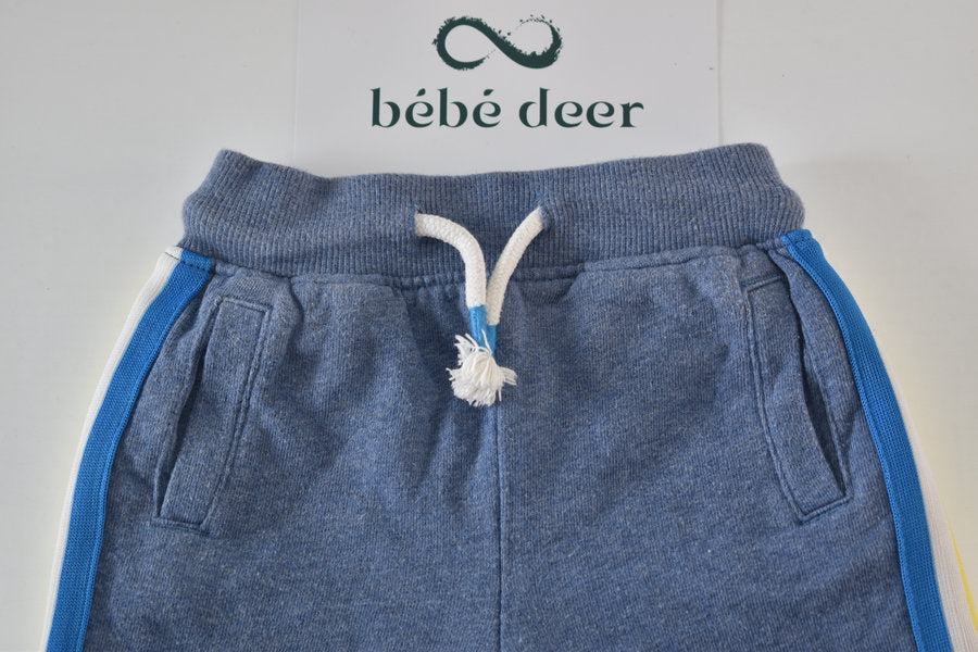 Grey shorts with colour side stripes