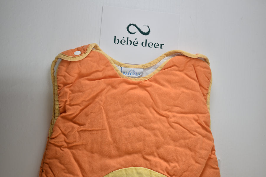 Medium weight sleeping bag 6/24 months