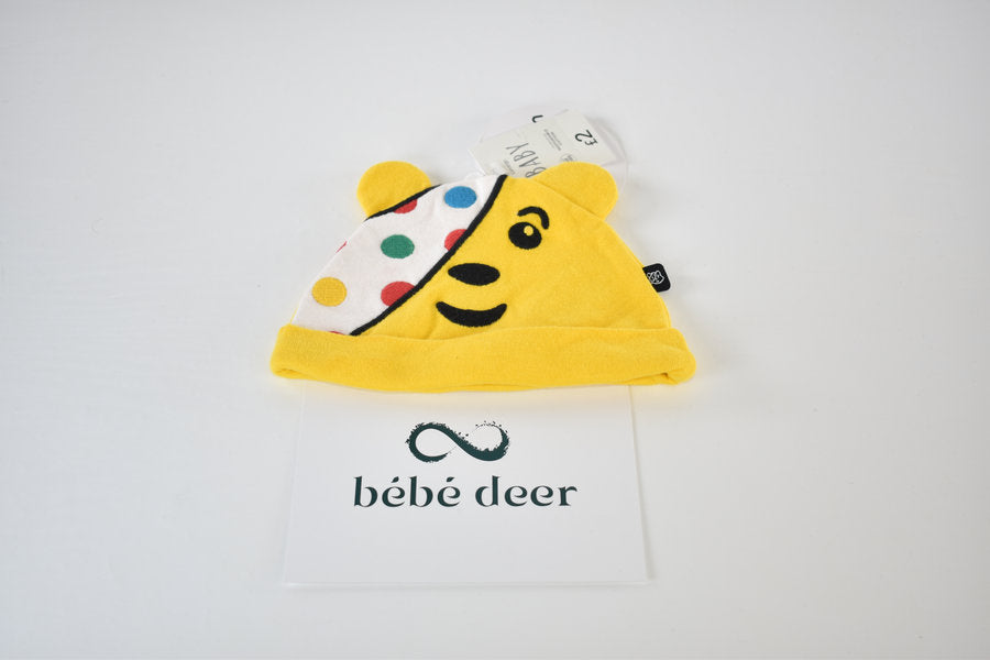 Pudsey bear hat one size