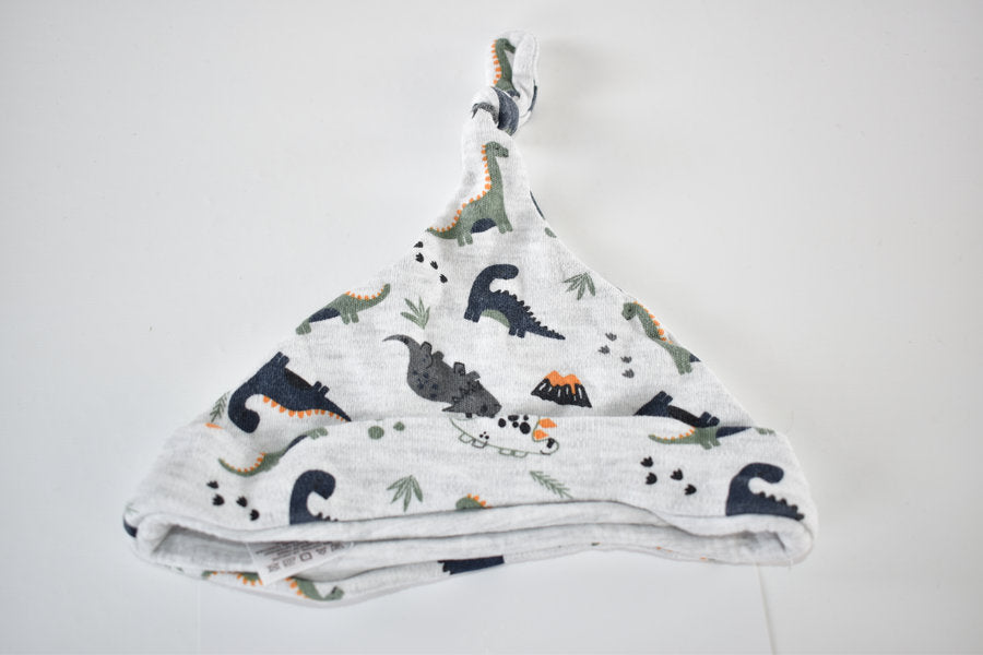 Dinosaur hat 3/6 months