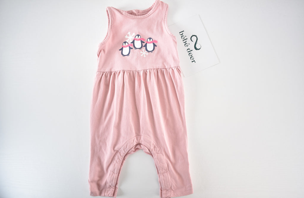 Snowflake penguin dungaree