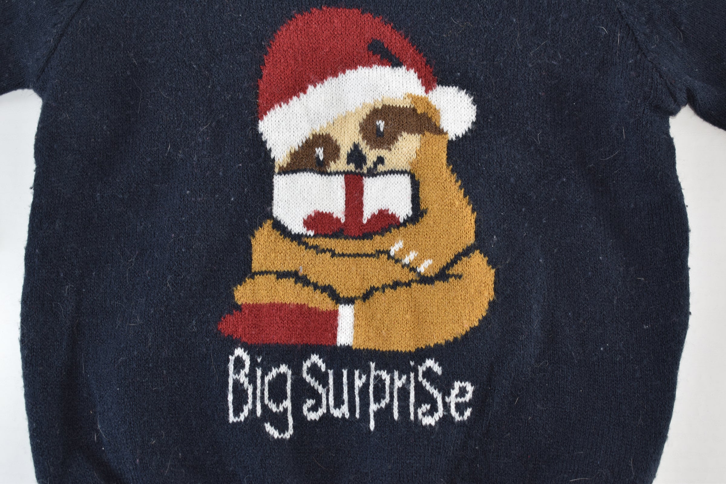 Lupilu Christmas puppy knitted jumper