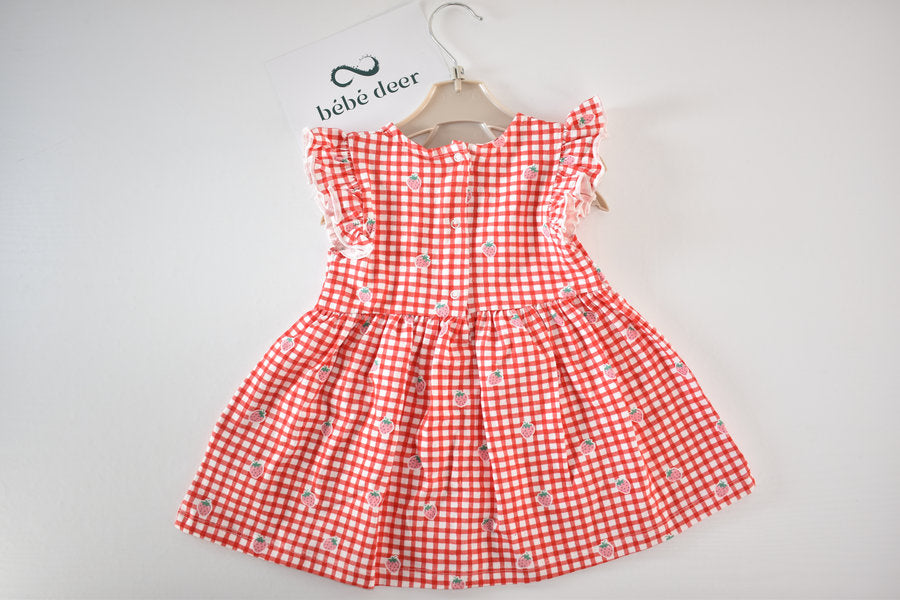 Gingham strawberry dress, new with tags