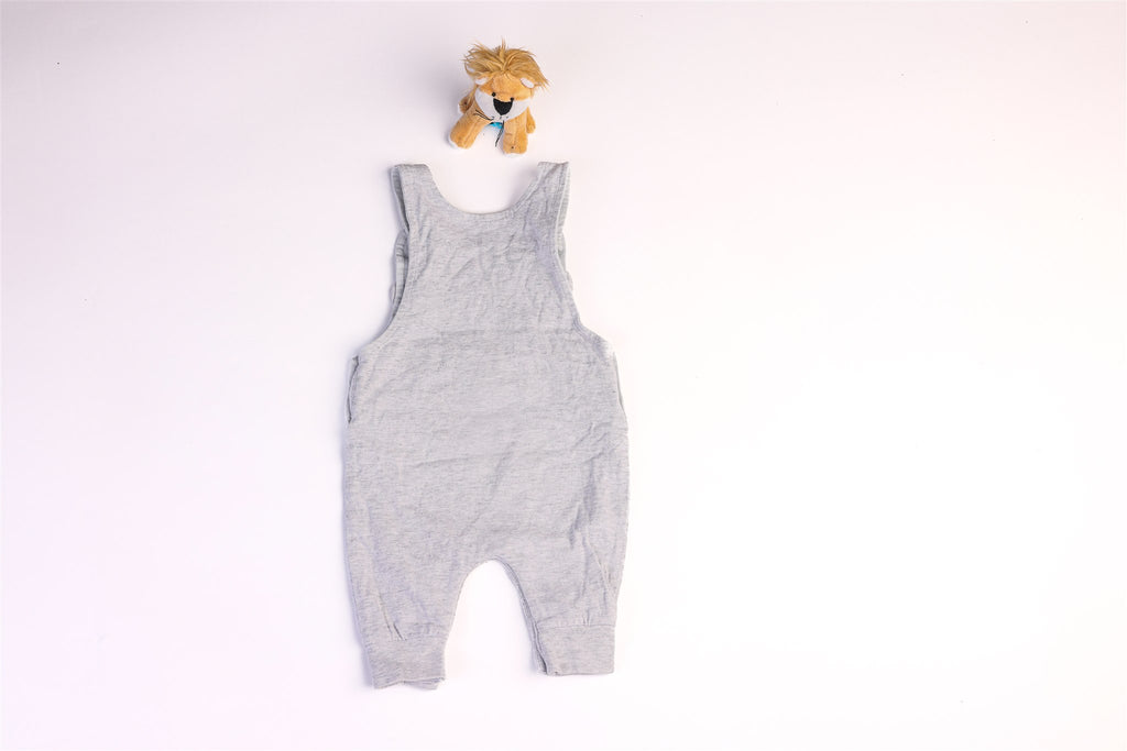 Animal and cloud dungarees