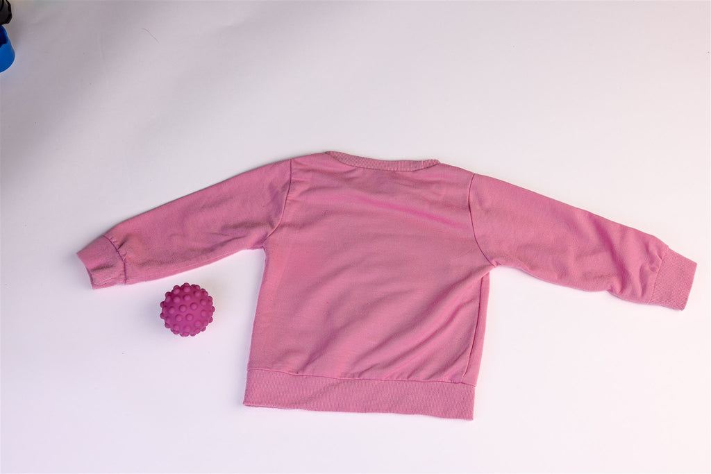 Pink elephant and bunny on a cloud holding a star jumper