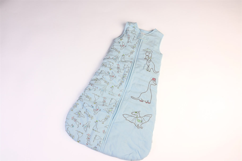 Blue dinosaur sleeping bag