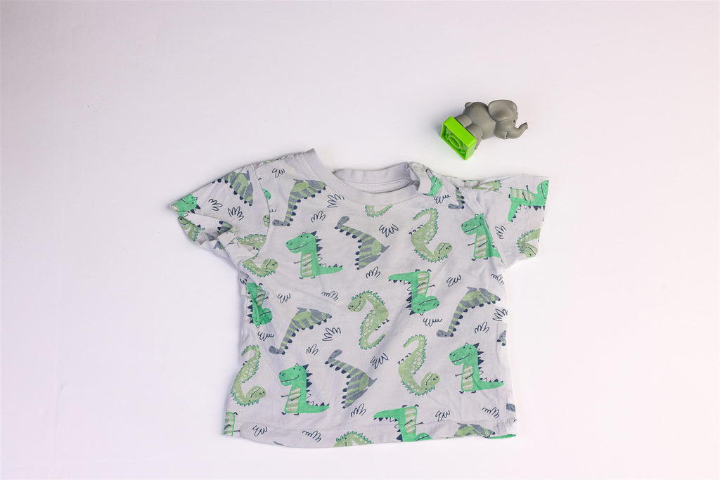 Dinosaur top