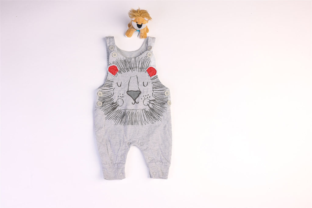 Animal and cloud dungarees